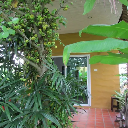 The Park Drive-Thru Check-In Resort